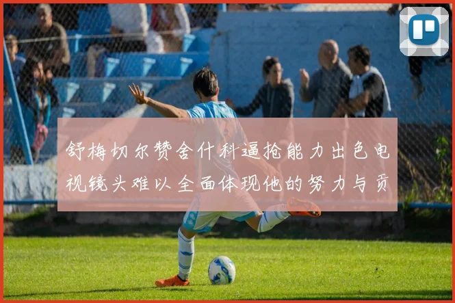 舒梅切尔赞舍什科逼抢能力出色电视镜头难以全面体现他的努力与贡献